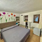 Vittoria House - Tulip And Tulip * Стреза